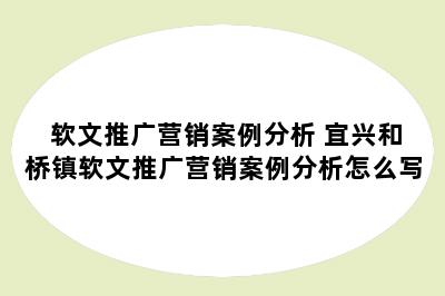 软文推广营销案例分析 宜兴和桥镇软文推广营销案例分析怎么写